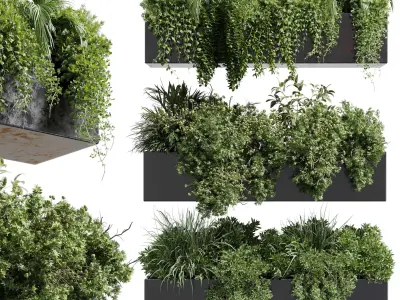 wall plant - hanging plants collection Indoor plant 446  3D model