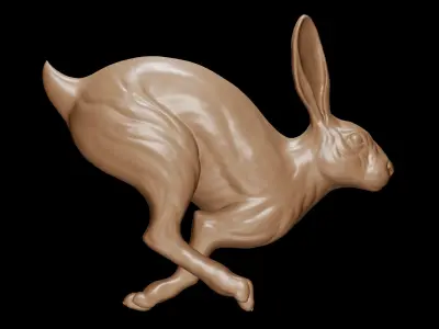 Rabbit Running 3D print model