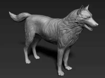Wolf Sculpt 3D model