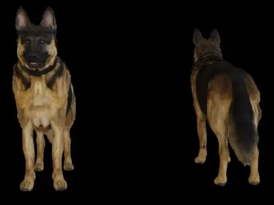 German Shepherd  Low-poly 3D model