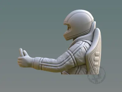 Driver Bust 3D print model