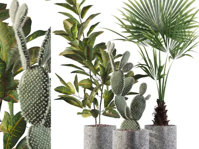 Plants collection 056 3D model