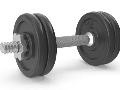 Old Dumbbell Low-poly 3D model