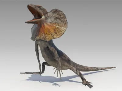 Frill-Necked Lizard Low-poly 3D model