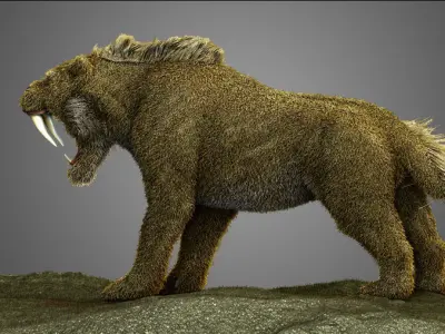 Saber tooth Cat High Poly Print ready  3D model