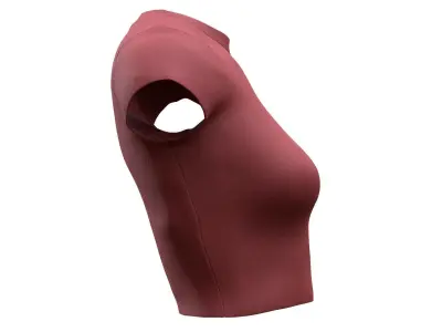 Tshirt 60 - All MH Bodies - UE5 Skeletons - Rigged Low-poly 3D model