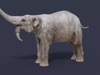 Deinotherium thraceiensis 3D model