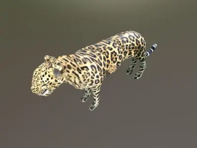 LEOPARD LOWPOLY jaguar Low-poly 3D model