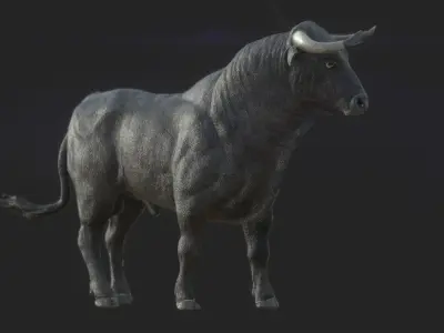 Spanish Fighting Bull Low-poly 3D model