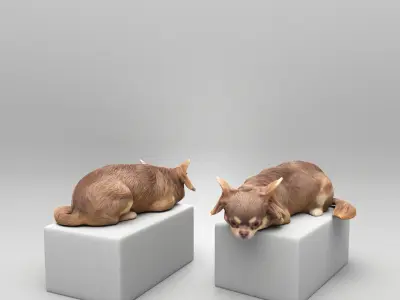 Lying dog 42 Low-poly 3D model