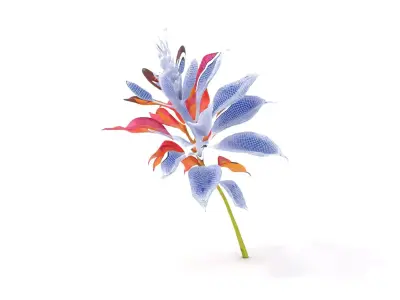 Vibrant Botanical Flower model pack Low-poly 3D model