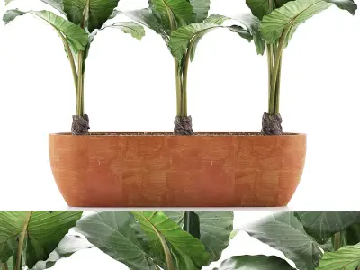 Plants Collection 70 3D model