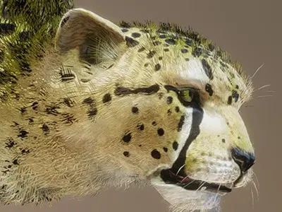 Cheetah 3D model shop