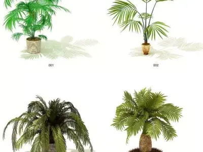 indoor plant models 3D model