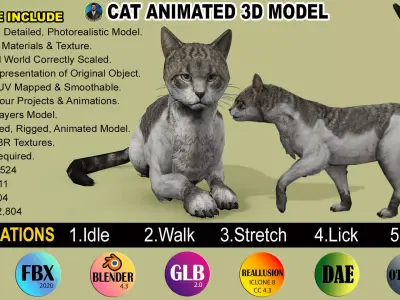 REALISTIC CAT RIGGED ANIMATED 5 Low-poly 3D model