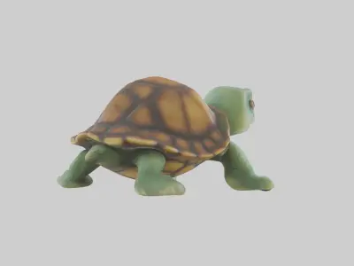 Baby Turtle Model 1 Low-poly 3D model