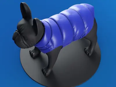 Mondog pet outfitters poldo dog couture 3D model