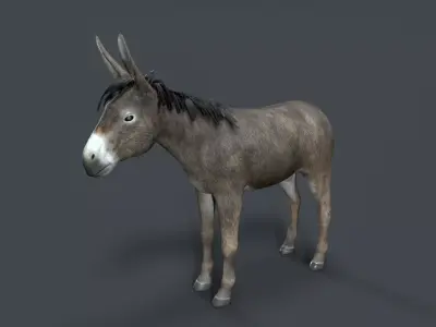 donkey Low-poly 3D model