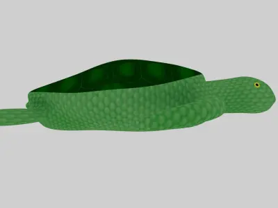Turtle Low-poly 3D model