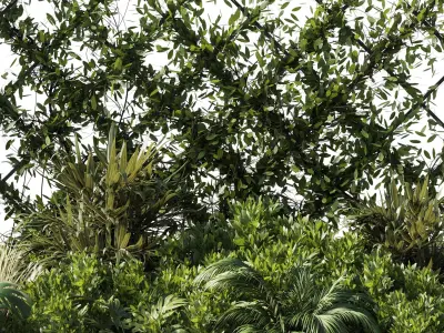 Outdoor garden plant set 153 - Ivy on Fence Low-poly 3D model