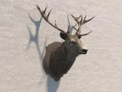 Deer head decorative wall decoration display collection 3D model