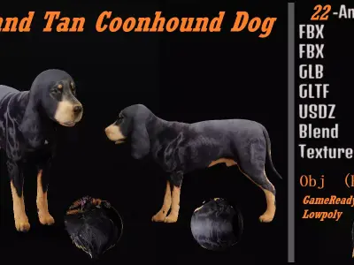 Black And Tan Coonhound Dog Low-poly 3D model