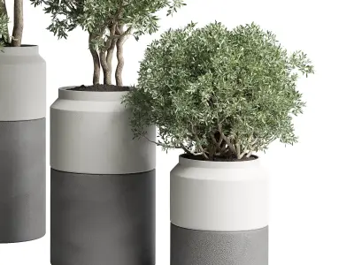 Collection Indoor plant 189 concrete dirt vase pot Tree 3D model