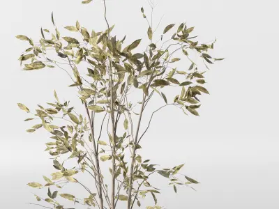 Decorative Set 13 3D model