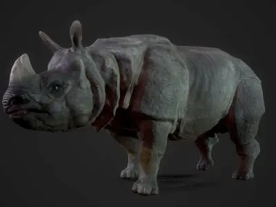 Indian Rhinoceros - Game Ready Low-poly 3D model