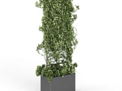 Botanical Planter 2 3D model