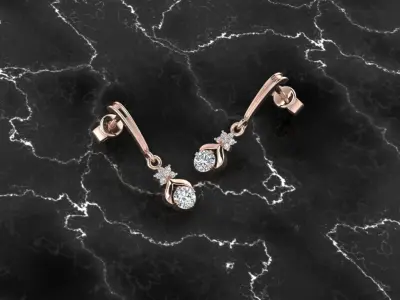 Jewelry Earring 3D print model