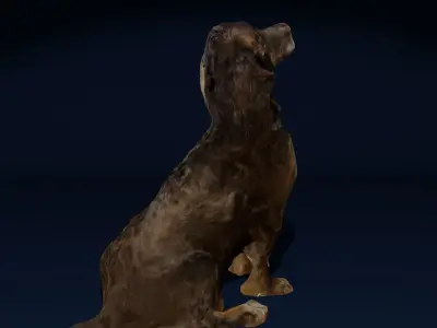 Sitting Cocker Spaniel Dog Photoscan Low-poly 3D model