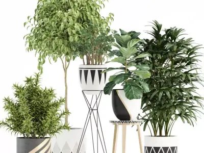 Plants collection 112 3D model