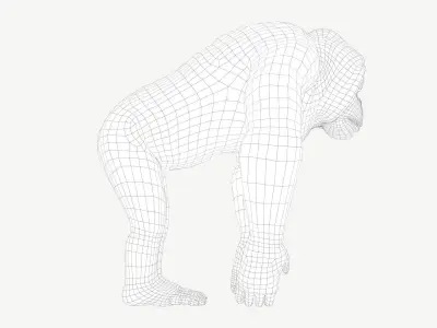 Bornean Orangutan Male Low-poly 3D model