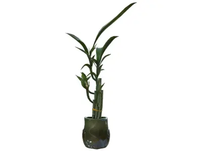 Owl Bamboo Plant Low-poly 3D model