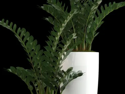 Plants collection 56 3D model