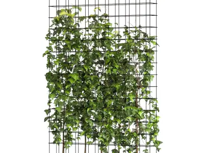 Room Divider Planter 3D model