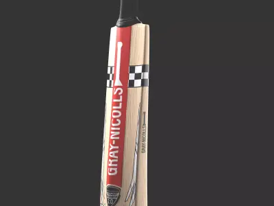 Gray Nicolls Cricket Bat 3D model