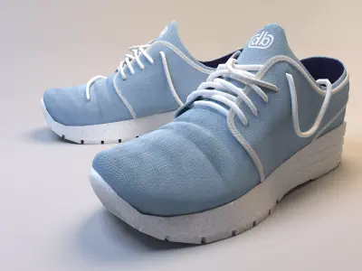 Sport Shoes Sneakers   3D model