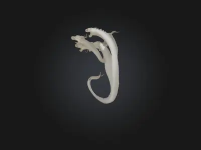 Hydra Low-poly 3D model