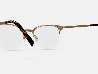 Sahana Eyeglasses in Polished Gold 3D model