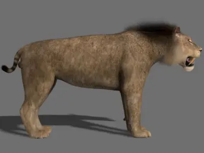 Sabretooth - 3d model lion 3D model