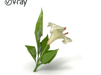 Longiflorum Lily Elegant Petals model pack Low-poly 3D model