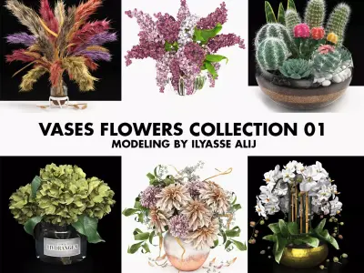 Collection of bouquets vases flowers 01 3D model