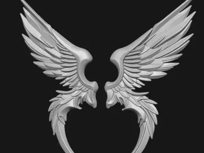 Wings 3D print model
