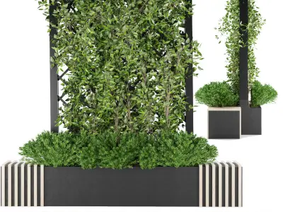 Collection plant vol 02 - fitowall - ertical 