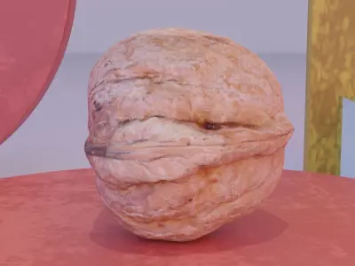 Walnut fruit 04 high-poly 3D model