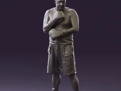 Boxer in gray 0781 3D model