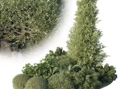 Garden set topiary and tropical plants - outdoor plant 3D model