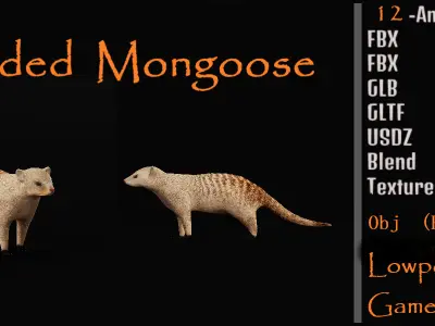 Banded Mongoose Low-poly 3D model